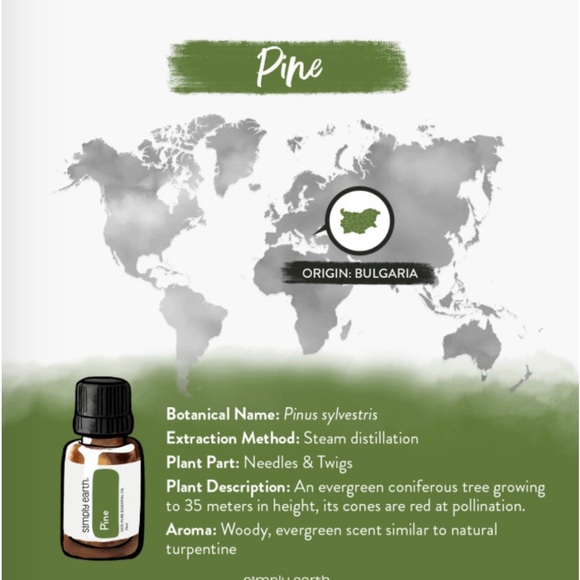 Simply Earth Pine Essential Oil Bottle - Picture 4 of 7